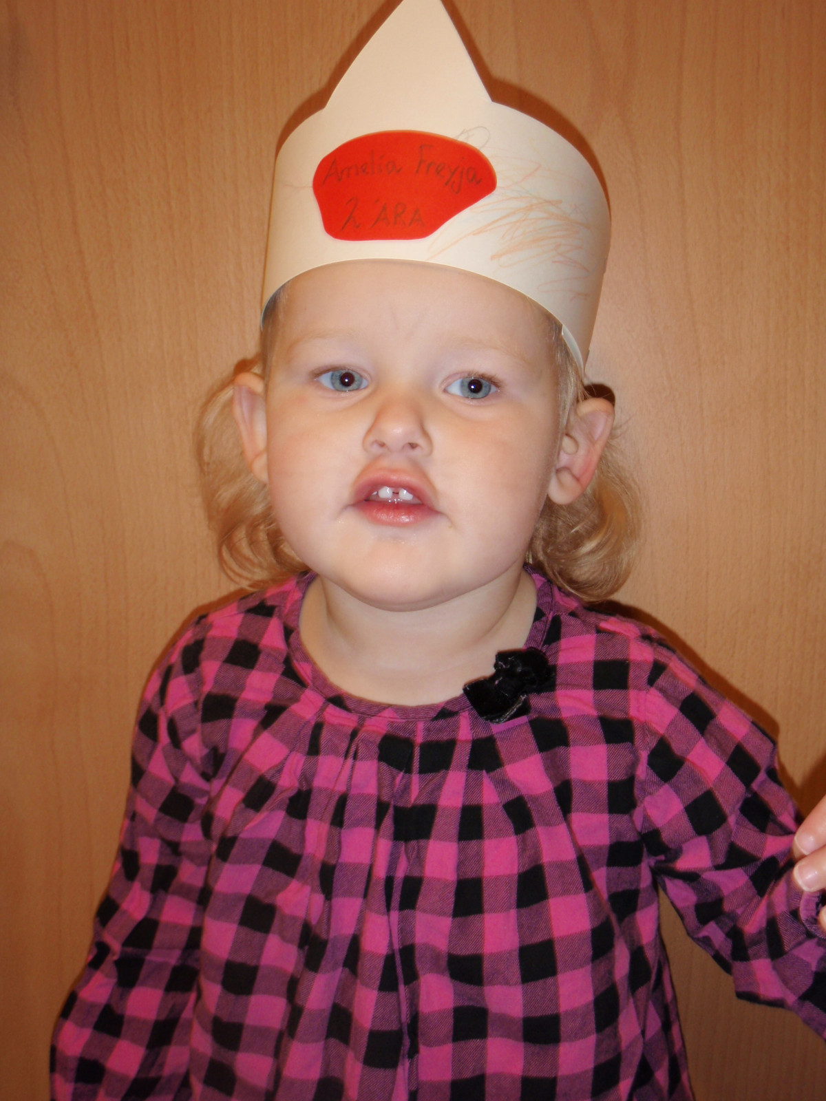 Amelía Freyja 2 ára