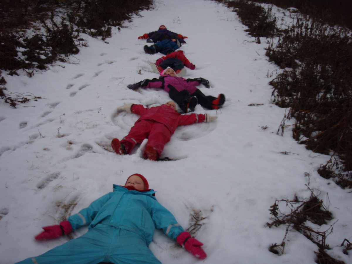 Kötlukot í skógreitnum nóv