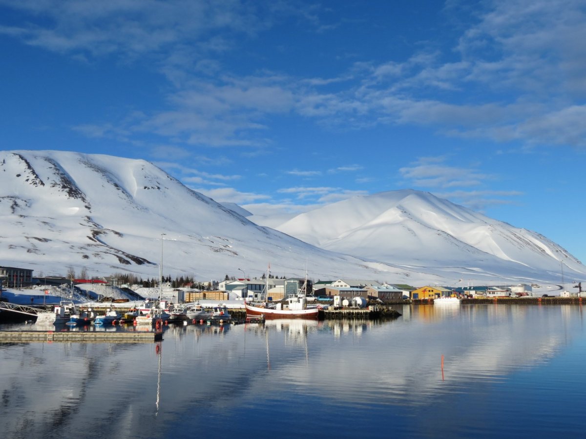 Til viðskiptavina Hitaveitu Dalvíkur
