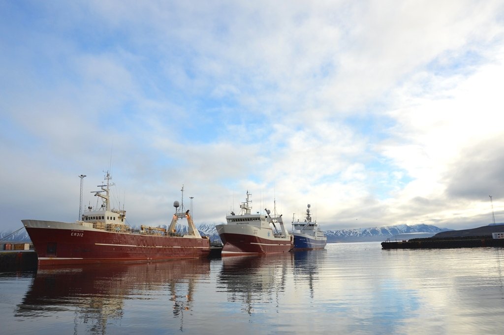 Togarar og skip í heimahöfn