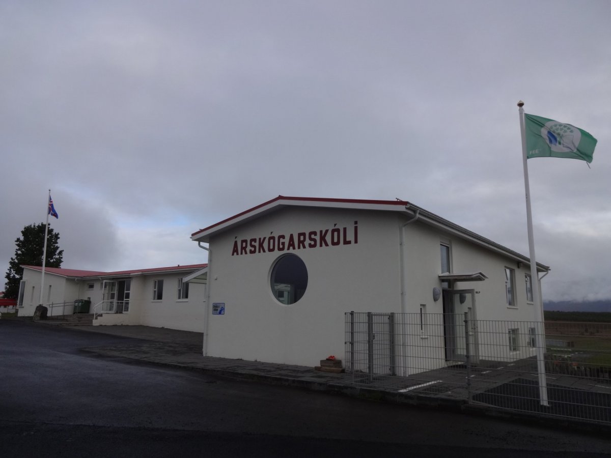 Starf skólaliða (félagsheimili og skóli)