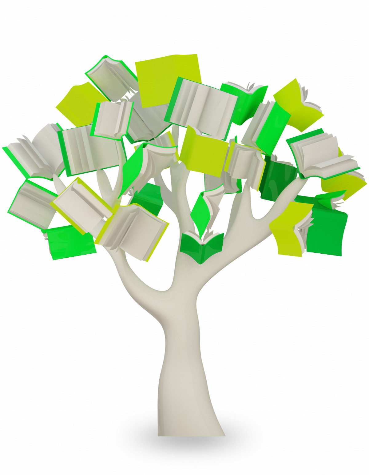 Sumaráhrifin og lestur