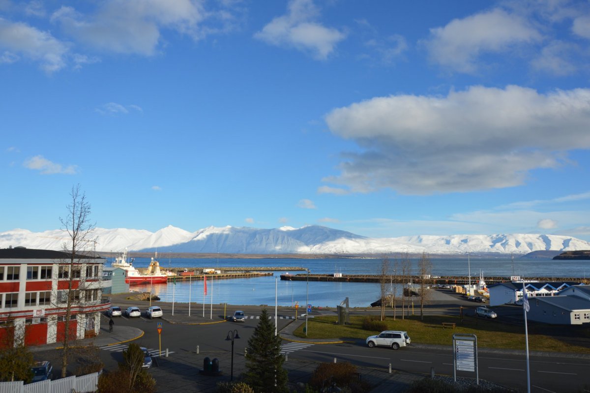 Viltu starfa við liðveislu?