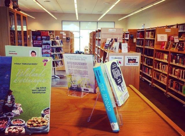 Bókasafn Dalvíkurbyggðar auglýsir eftir bóka- og safnverði í 50% stöðu