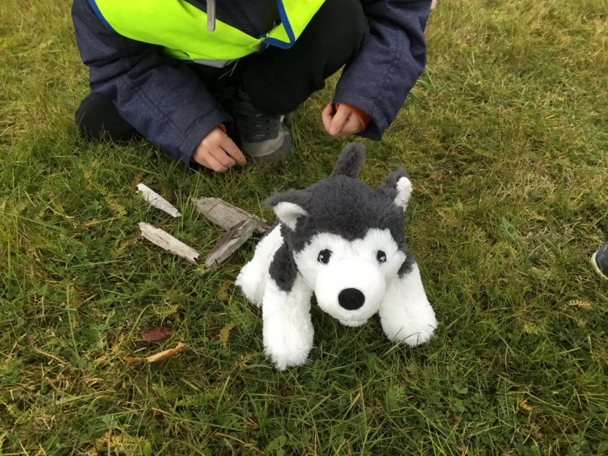 Hólakot og Lubbi finna Úú