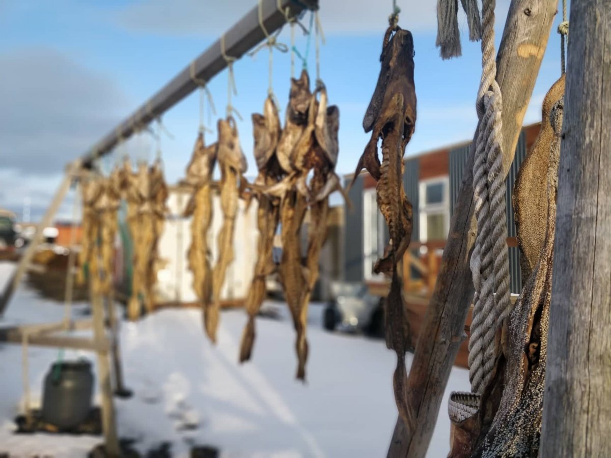 Fyrirtæki ársins hjá Markaðsstofu Norðurlands