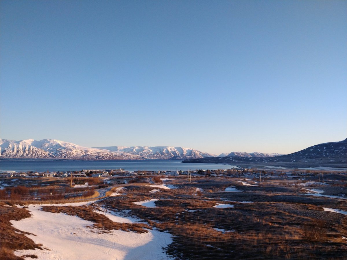 Kosning á íþróttamanni ársins 2019