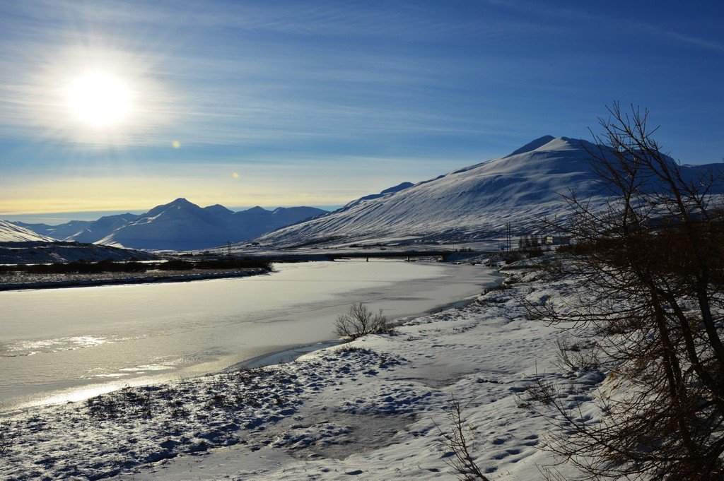 Kjör á íþróttamanni Dalvíkurbyggðar
