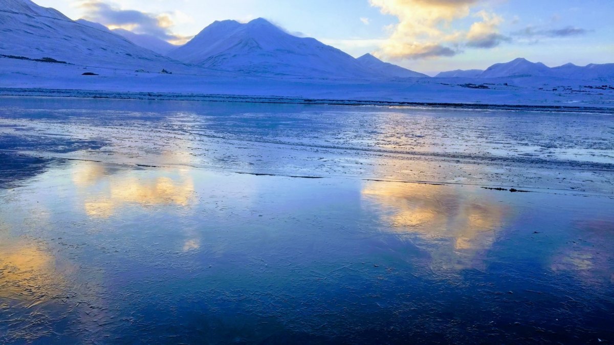 Opið fyrir umsóknir í Menningar- og viðurkenningarsjóð