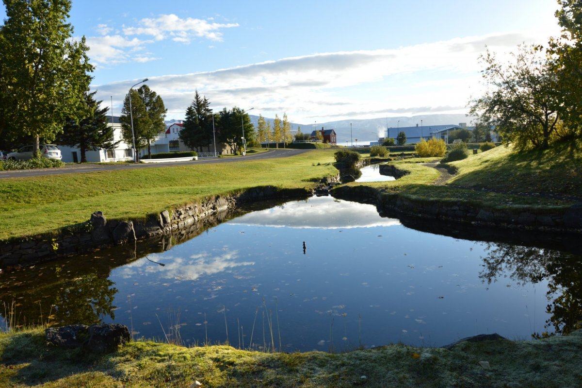 Söfnun og förgun bifreiða í Dalvíkurbyggð