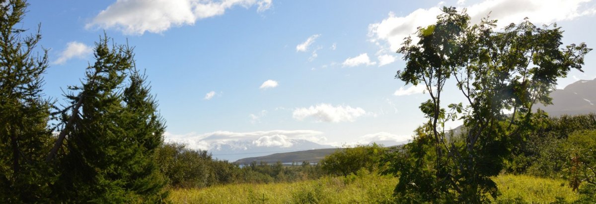 Spennandi sumarstörf hjá Dalvíkurbyggð