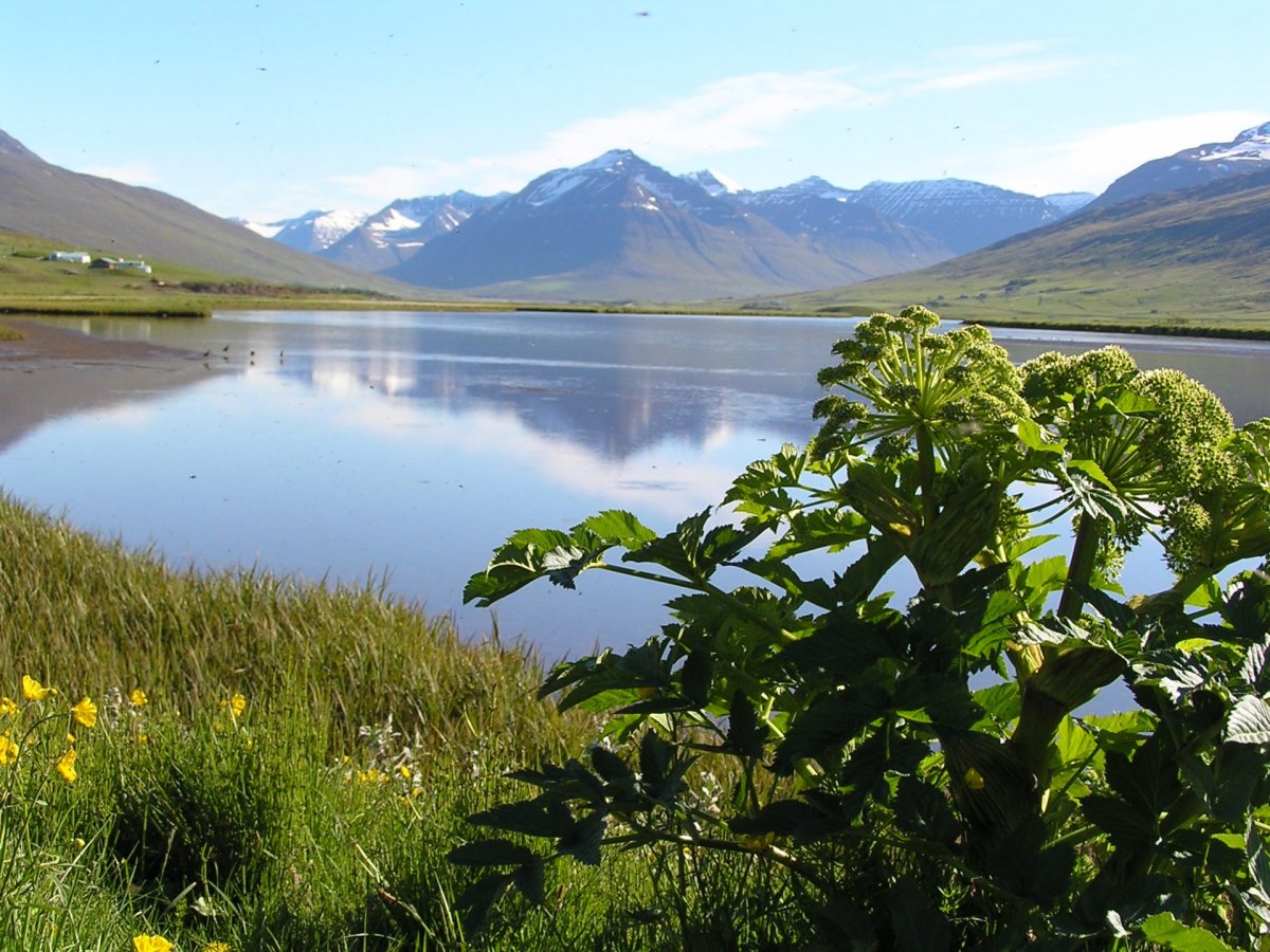 Heitavatnslaust frá Völlum og fram austurkjálkann í Svarfaðardal