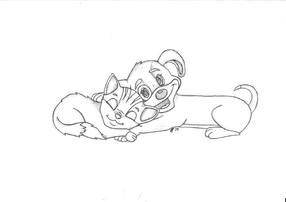 Árleg hunda- og kattahreinsun - FRESTAÐ