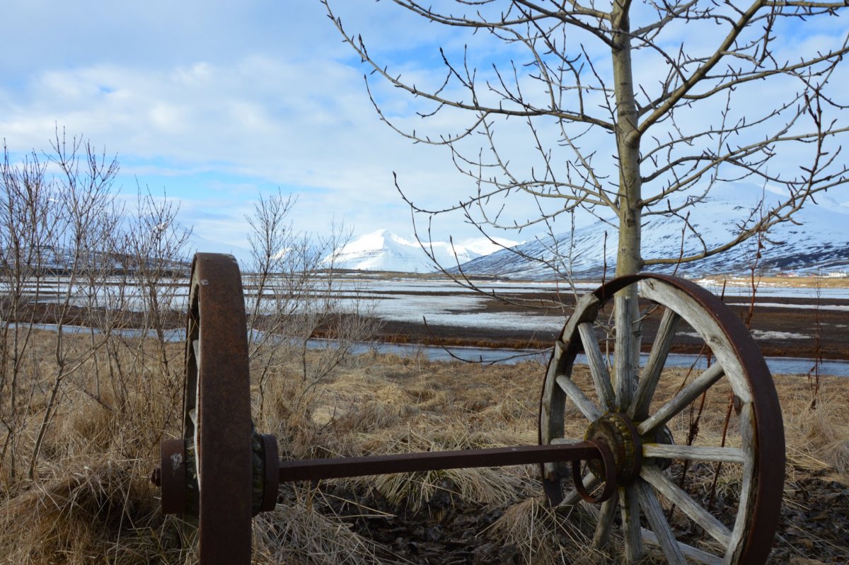 Auglýst eftir umsóknum um styrki til samstarfsverkefna
