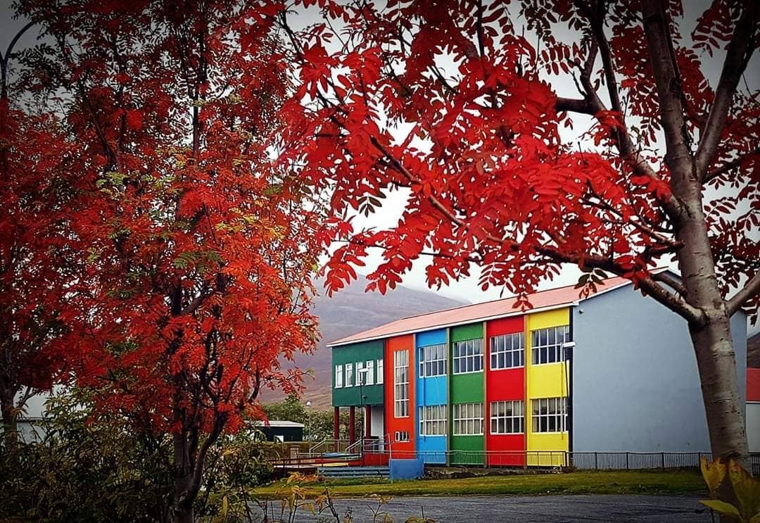 SSNE hlýtur styrk úr C.01 - sérstök verkefni sóknaráætlanasvæða