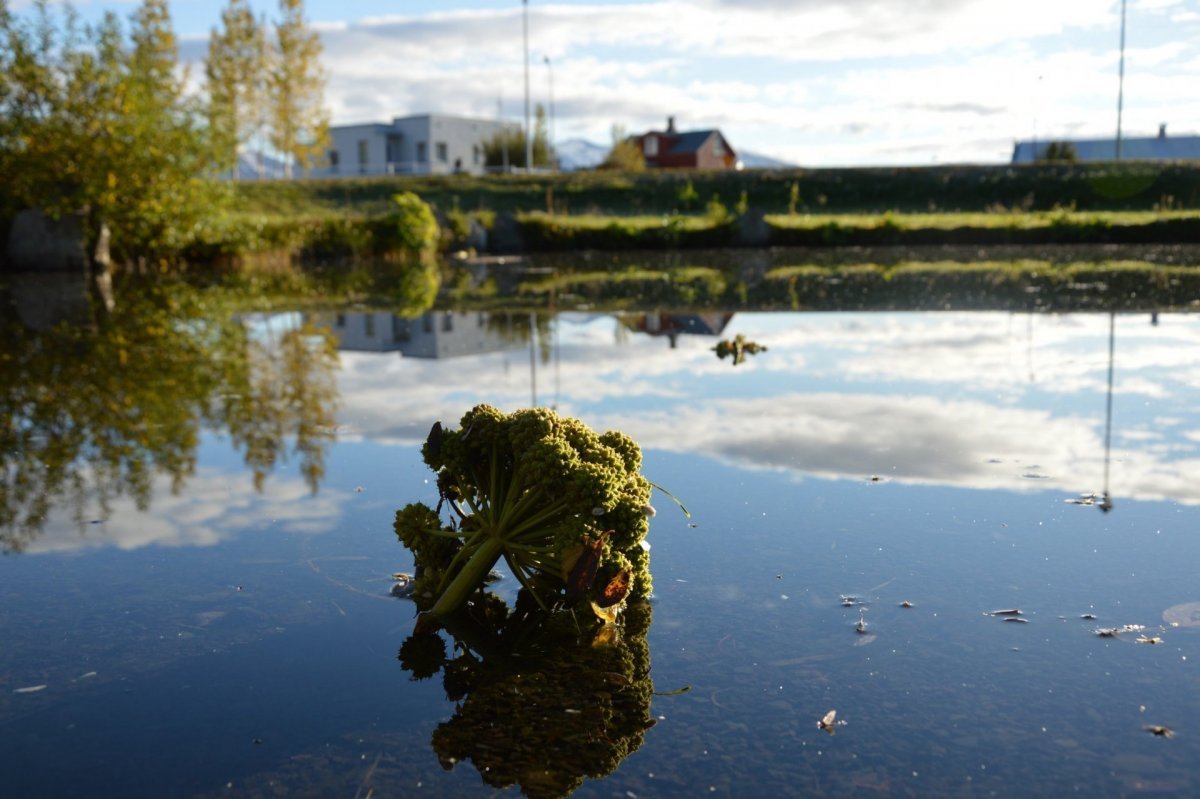 Styrkir til greiðslu fasteignaskatts 2021
