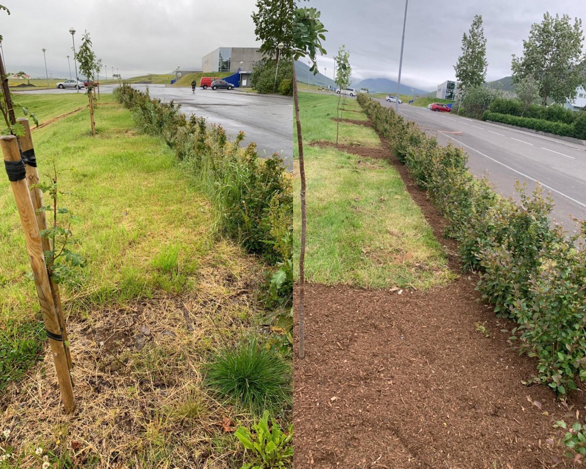 Er ekki tími til kominn að klippa?