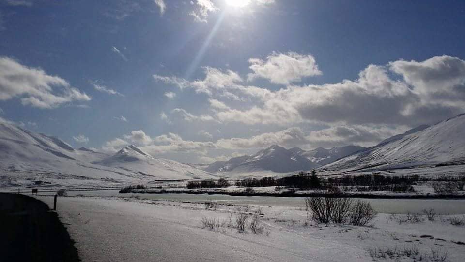 Álagning fasteignagjalda