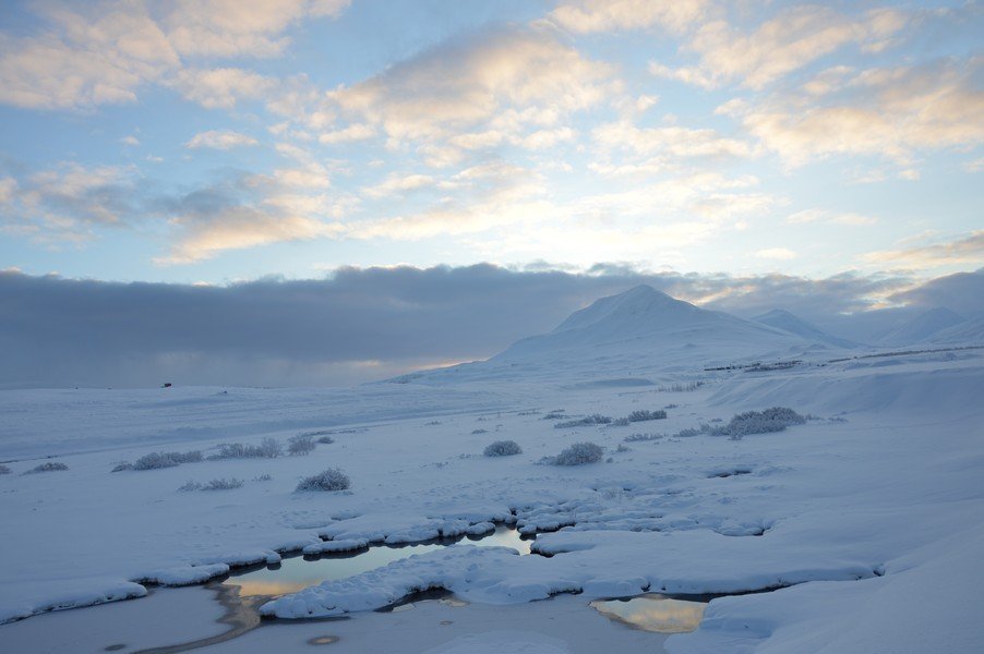 Útboð – Hádegisverður fyrir Dalvíkurskóla og Árskógarskóla 2022 - 2025