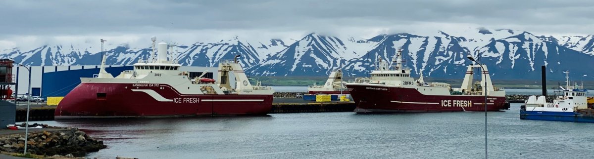 Markaðsátak Dalvíkurhafna - kynningarfundur