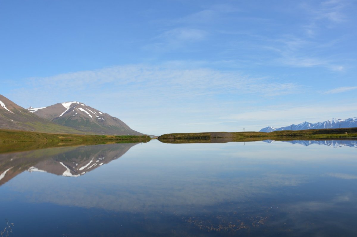 Laust til umsóknar - Starf á Eigna- og framkvæmdadeild