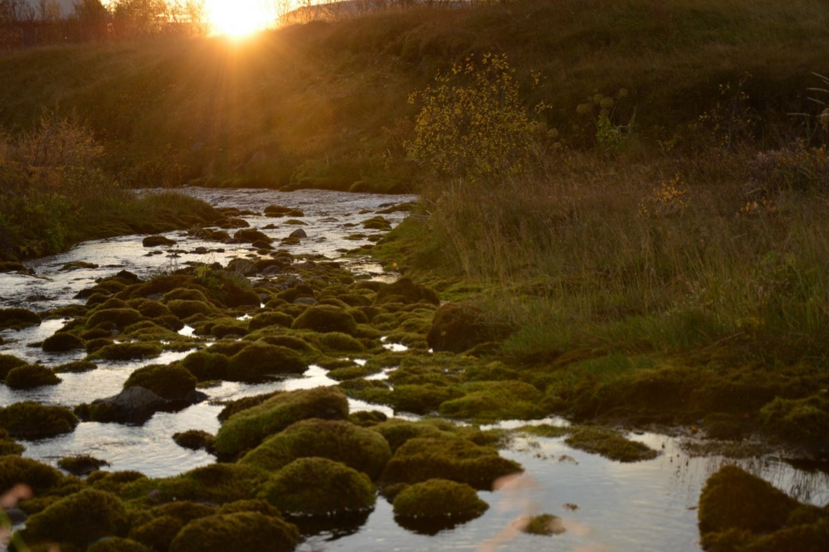 Laust til umsóknar - Hlutastörf við íbúðakjarna og Skammtímavistun
