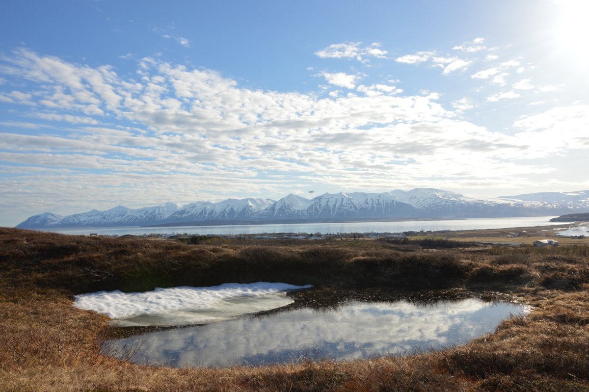 Endurreisn á tölvukerfum Dalvíkurbyggðar