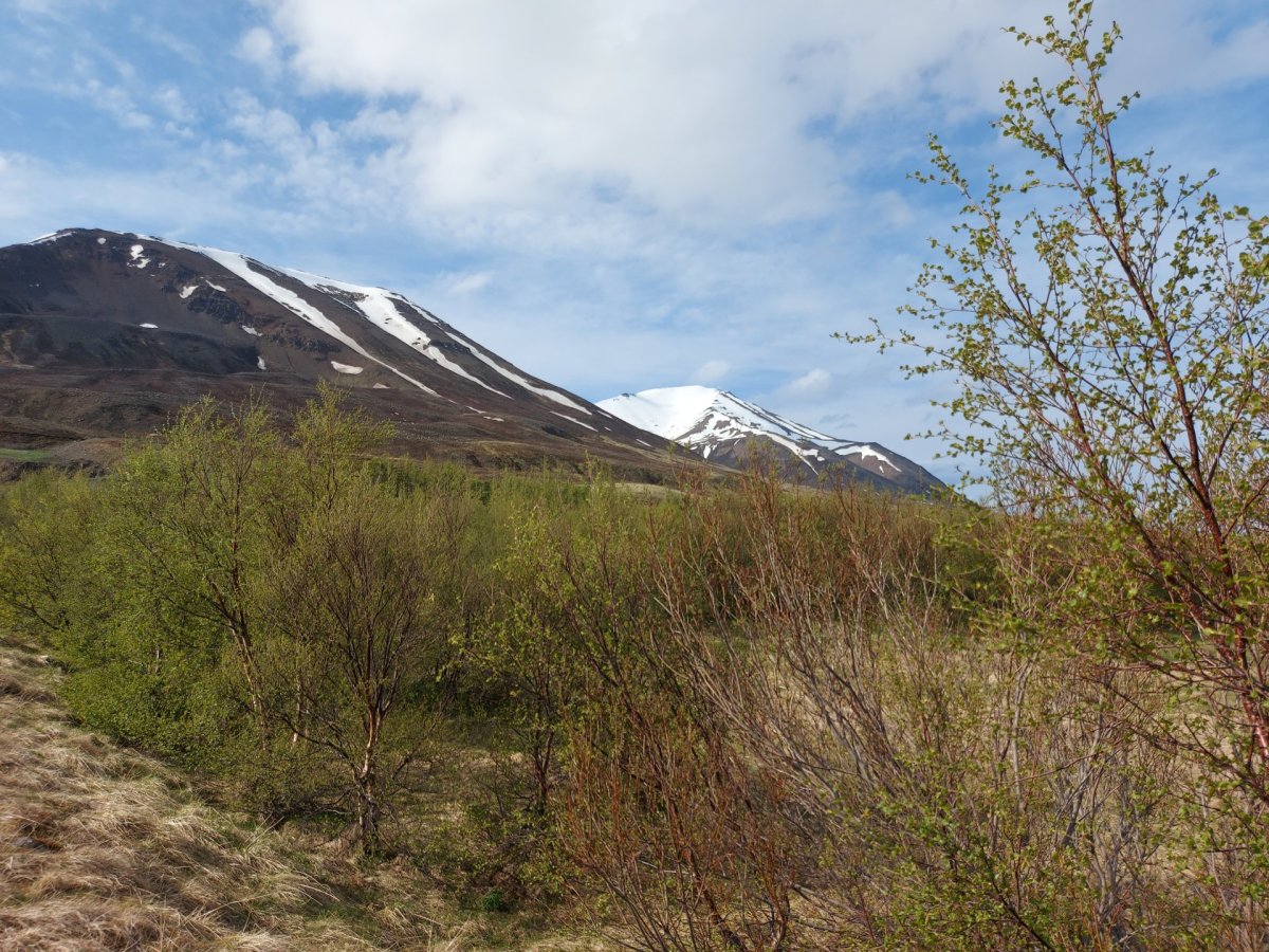 Íbúagátt Dalvíkurbyggðar komin í gagnið
