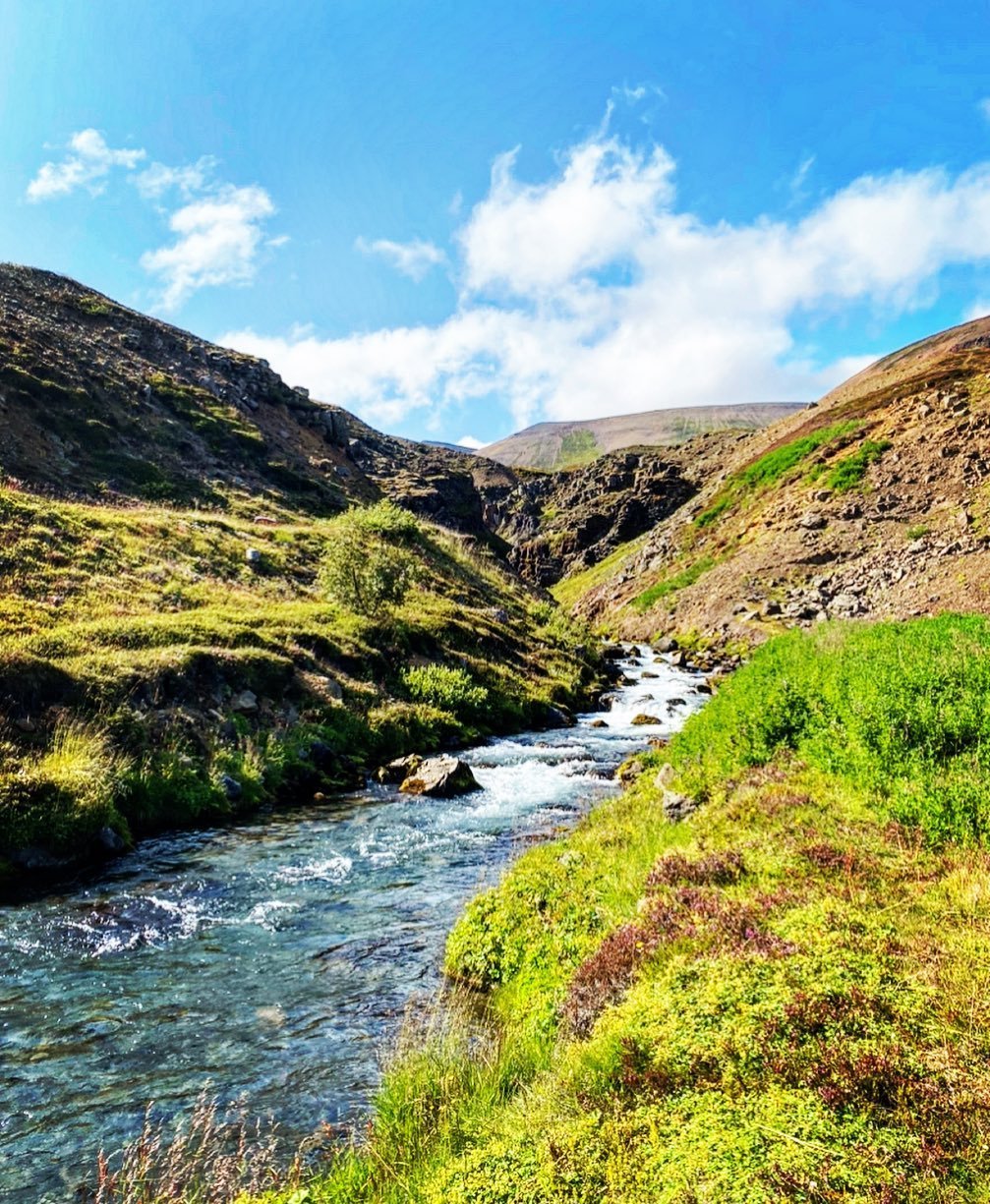 Niðurstöður úr skoðanakönnun vegna smávirkjunar í Brimnesá.