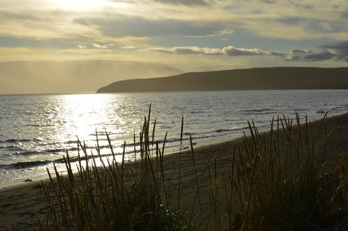 Sandvík og Selárland við Hauganes