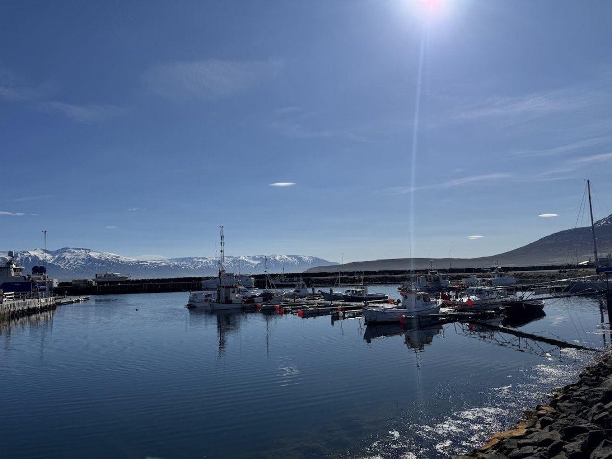 Nýjar lóðir á Dalvík lausar til úthlutunar