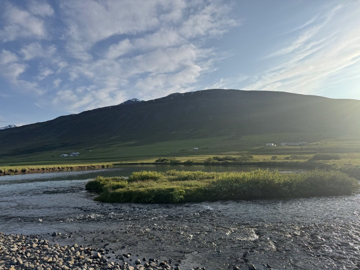 Tilkynning vegna tímabundinna tæknilegra örðugleika við birtingu reikninga á island.is