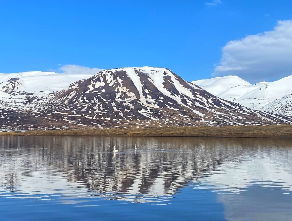 Ársreikningur Dalvíkurbyggðar fyrir árið 2025