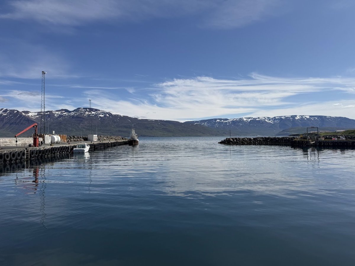 Dalvíkurbyggð semur við Stefnu um nýja heimasíðu