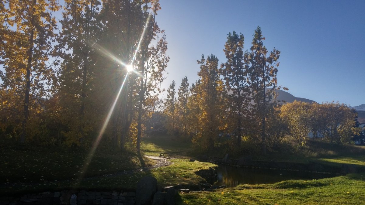 Laus til umsóknar - Leikskólakennarar / leiðbeinendur - Krílakot