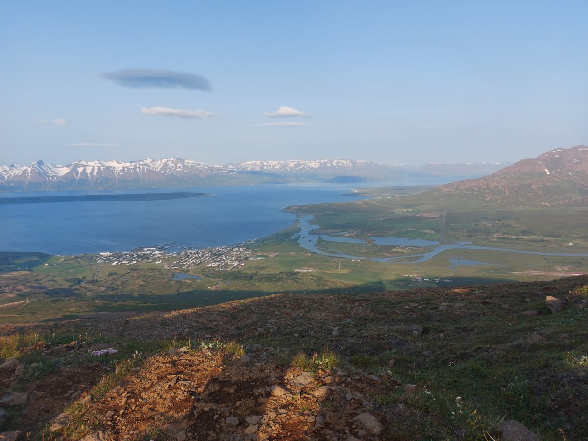 Netárás gerð á Dalvíkurbyggð