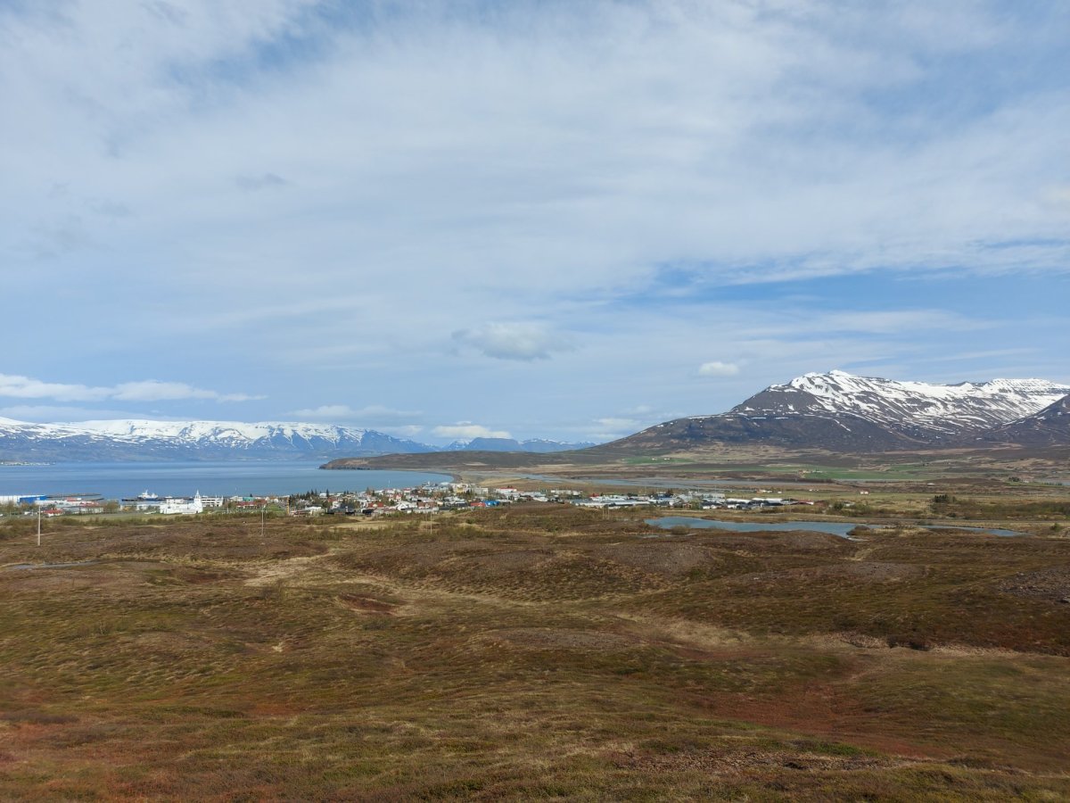 Hugmyndasöfnun fyrir uppbyggingu í skógarreitunum Brúarhvammsreit og Bögg.