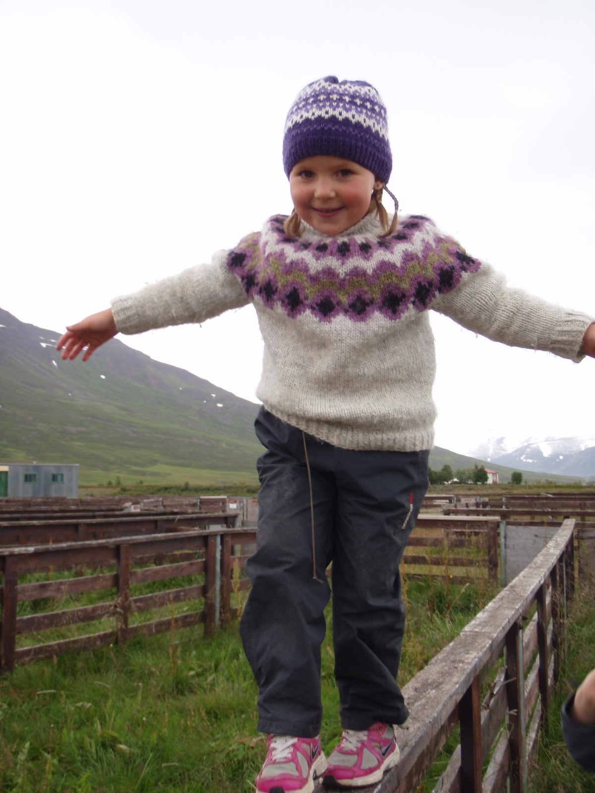 Réttarferð Kötlukots í ágúst