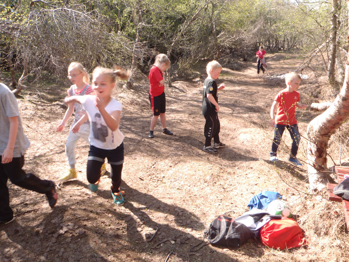 Skógreitur 1-7 bekkur