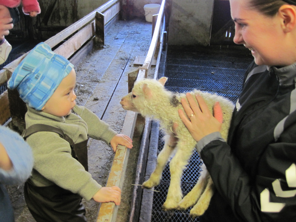 Flöggun Grænfána, sveitaferð og grillveisla