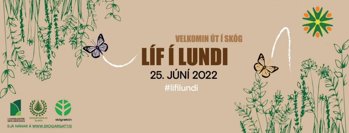 Líf í Lundi - Hánefsstaðareitur