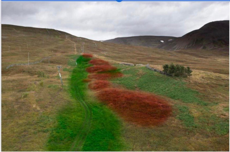 Landslagsmótun á skíðasvæðinu