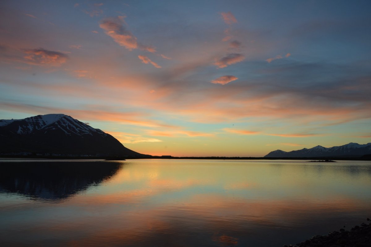 Móttaka flóttafólks