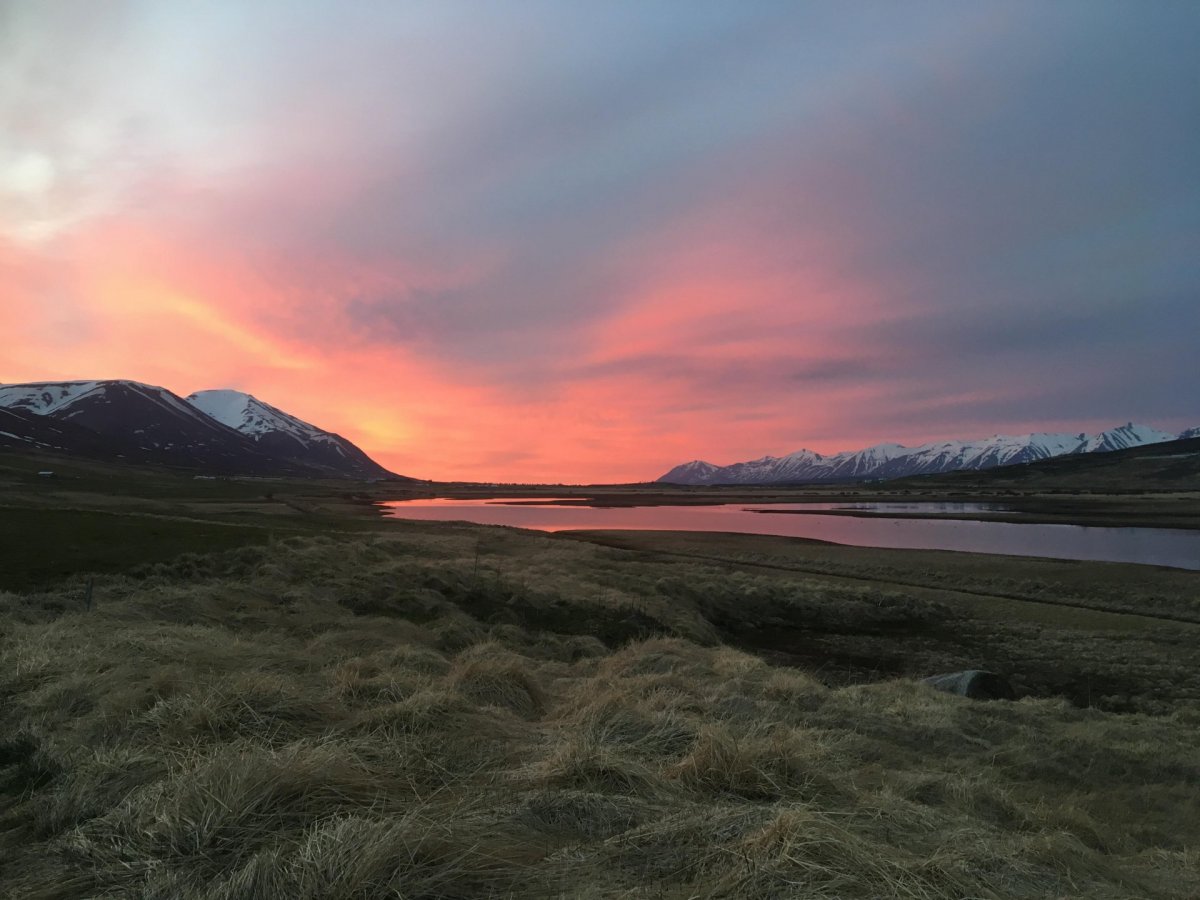 Kvöldroði í Friðlandi fuglanna