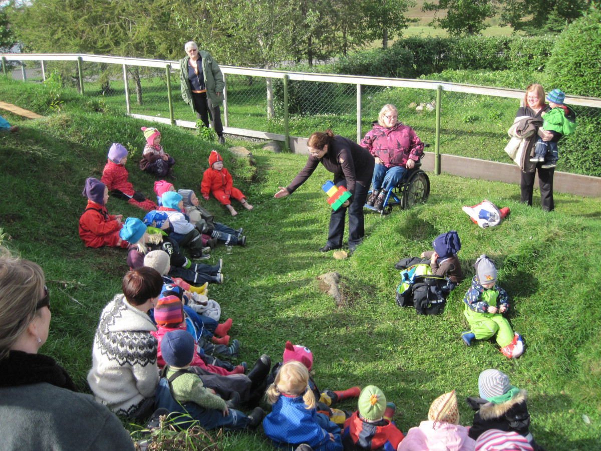 31 árs Afmæli Krílakots