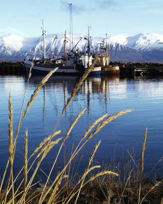 Endurbygging trébryggju við suðurgarð