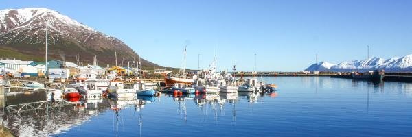 Lokað í þjónustuveri vegna veikinda