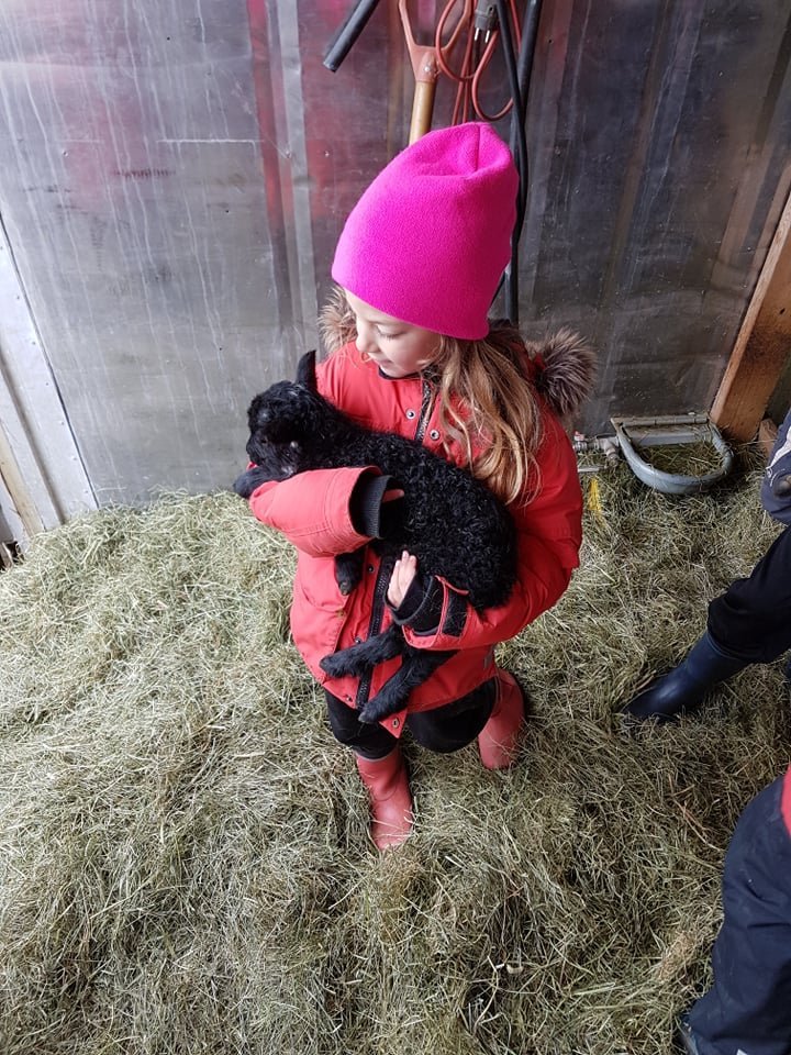 Sveitaferð hjá grunnskólastigi