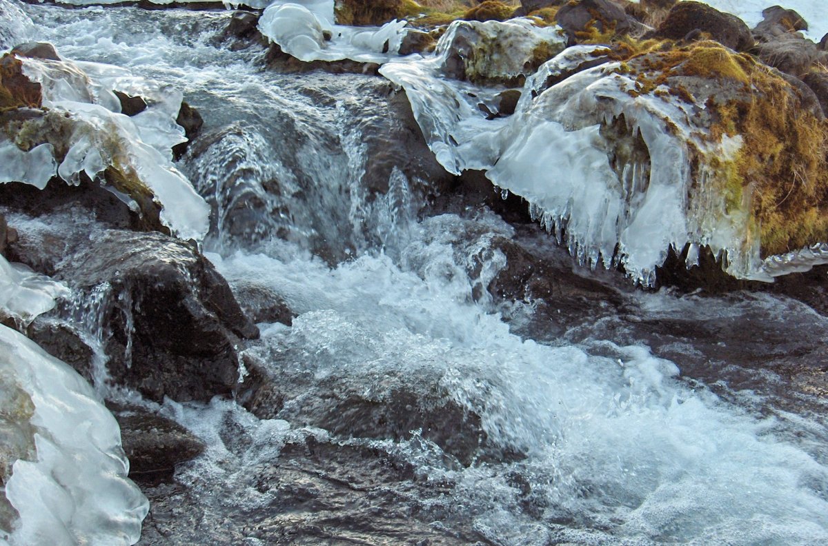 Mynd úr safni. Ljósmyndari: Anna Sólveig Sigurjónsdóttir