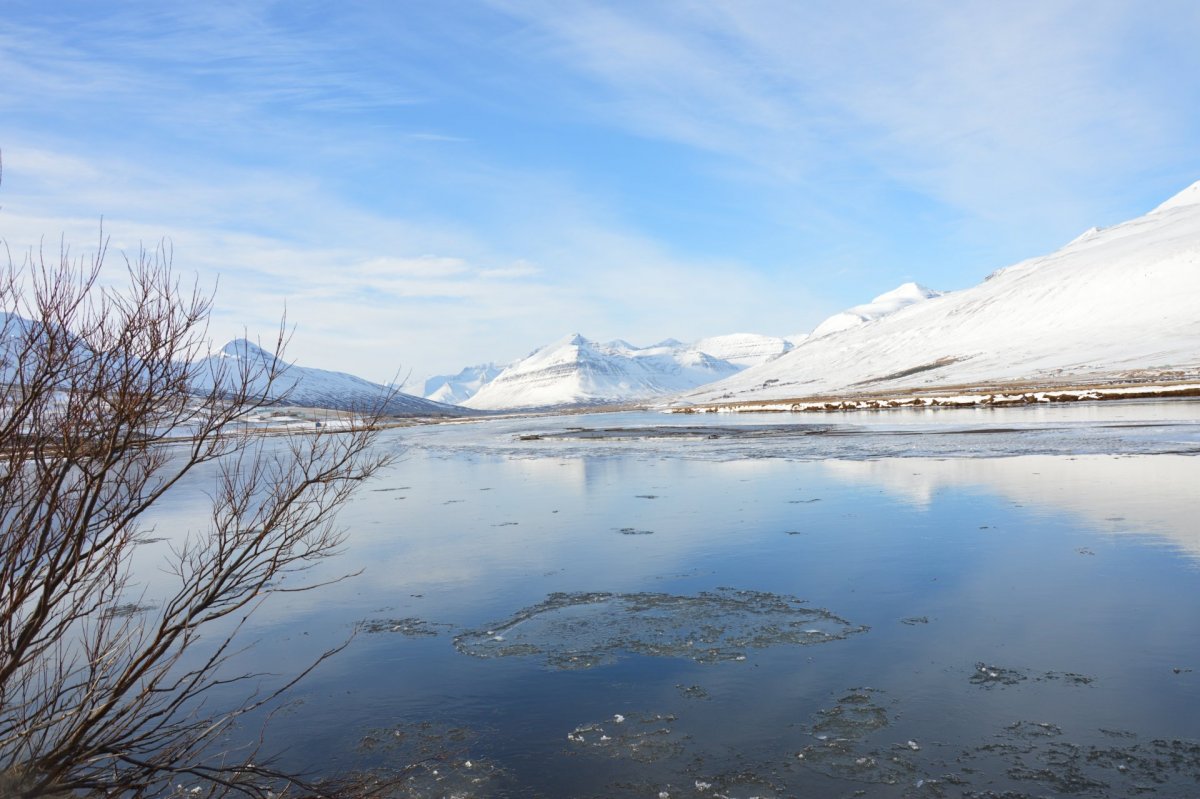 Framlenging á tímabundinni niðurfellingu gatnagerðargjalda